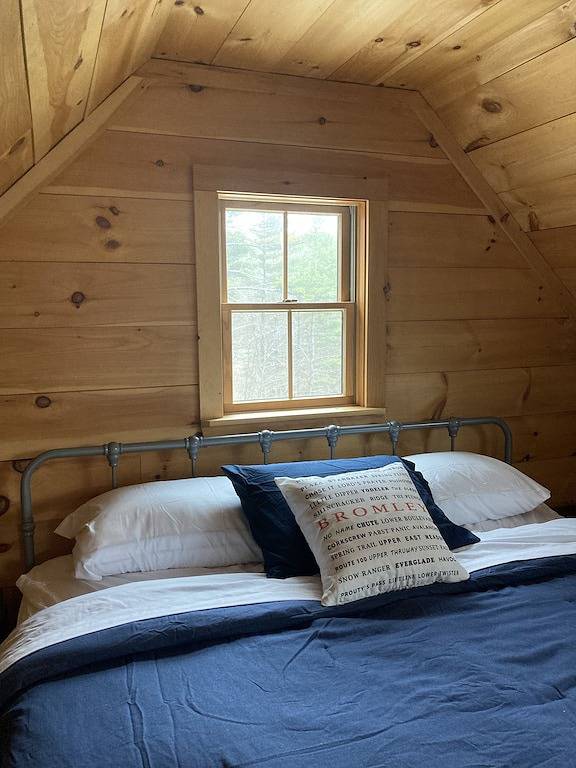 Cheerful Tiny Cabin hideaway near hiking, skiing & snowmobiling in small town Vt in Townshend, Windham County