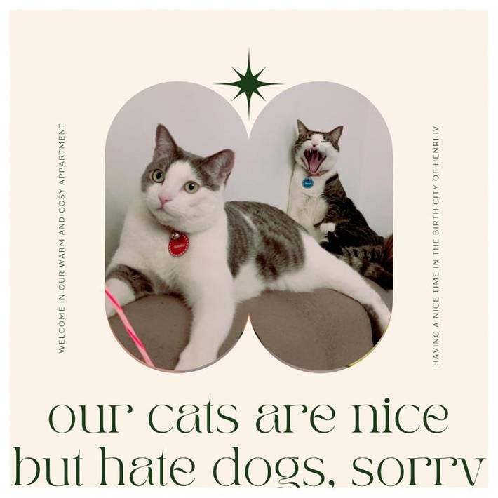 Chambre d’hôte pour 2 personnes, avec vue et terrasse à Pau - 2