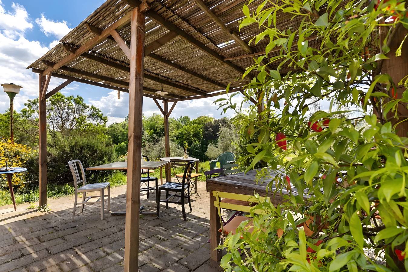 Camera 'Olivo - Fattoria Le Caprine' con Giardino in Comune, Wi-Fi e Aria Condizionata in Gambassi Terme, Chianti