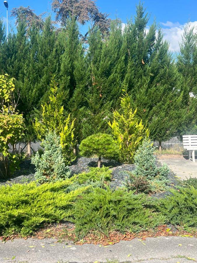 Hôtel pour 2 personnes, avec vue et jardin, adapté aux familles à Dammarie-les-Lys - 2