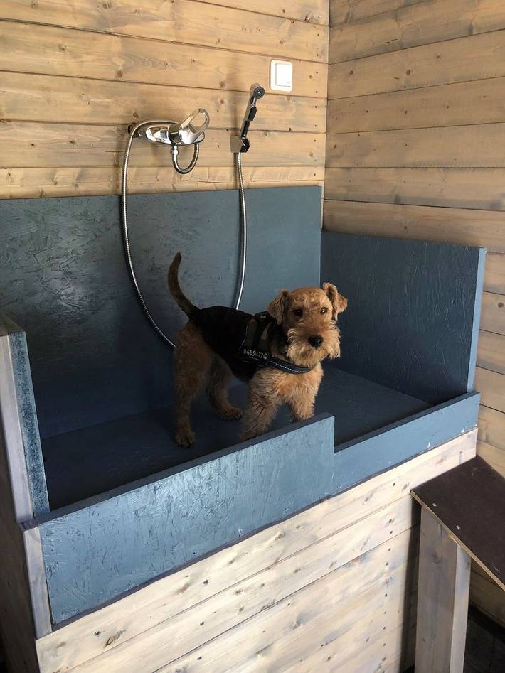 Ferienhaus für 4 Personen, mit Garten, mit Haustier in Büsum-Wesselburen - 2