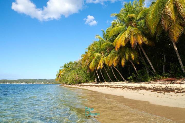 Gîte pour 2 personnes, avec jardin et piscine dans Plage de Folle Anse - 4