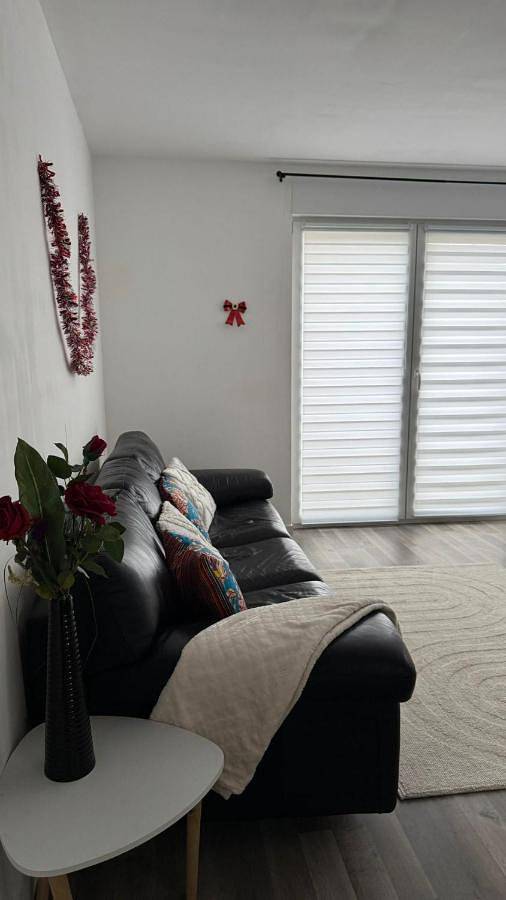 Appartement entier, Two-Bedroom Apartment in Gumbrechtshoffen, Nord de l'Alsace