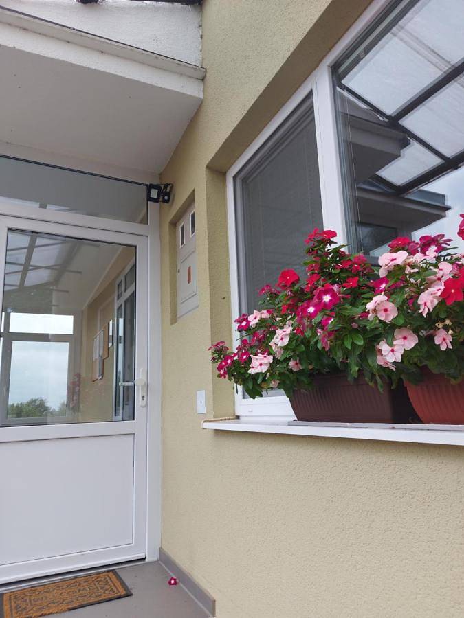 Maison d’hôte pour 3 personnes, avec bassin pour enfant ainsi que piscine et jardin, animaux acceptés dans Slavonie - 4