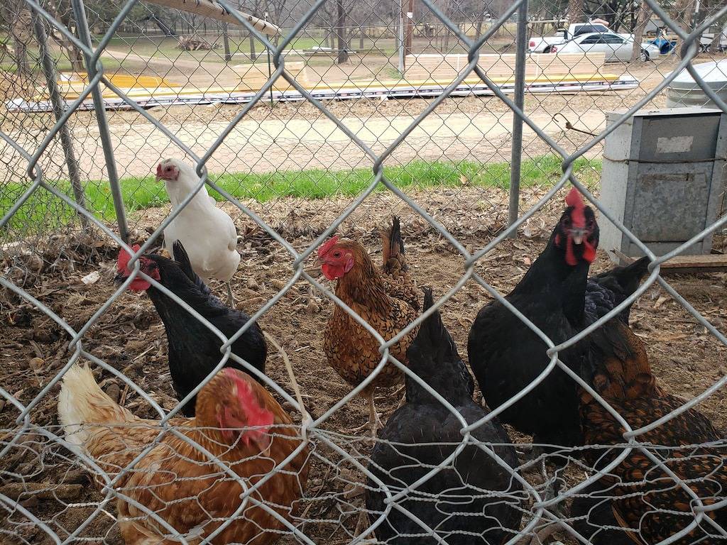 Privathaus im Resort in der Nähe unseres herzförmigen Pools. in Llano County