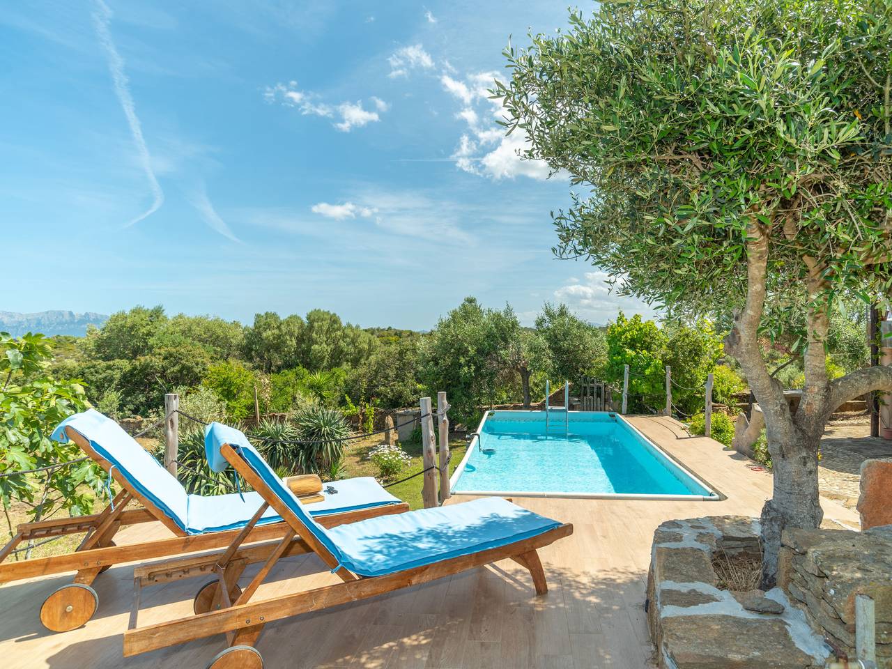 Iride in Nodu Pianu, Costa Smeralda