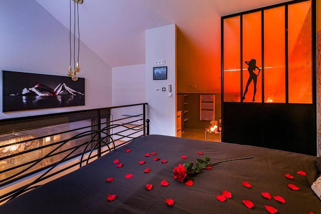 Appartement entier, Duplex coup de coeur in Bourgoin-Jallieu, Région de La Tour-du-Pin