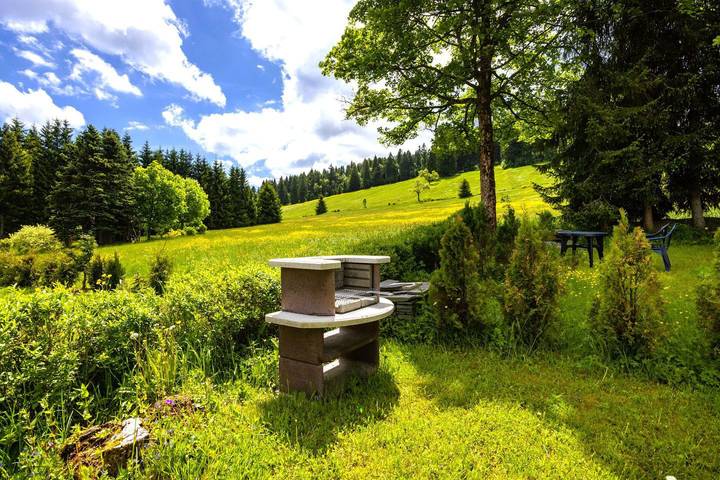 Ganze Wohnung, Ferienwohnung "Bergzeit" - 60m² direkt am Skihang in Carlsfeld in Carlsfeld, Eibenstock