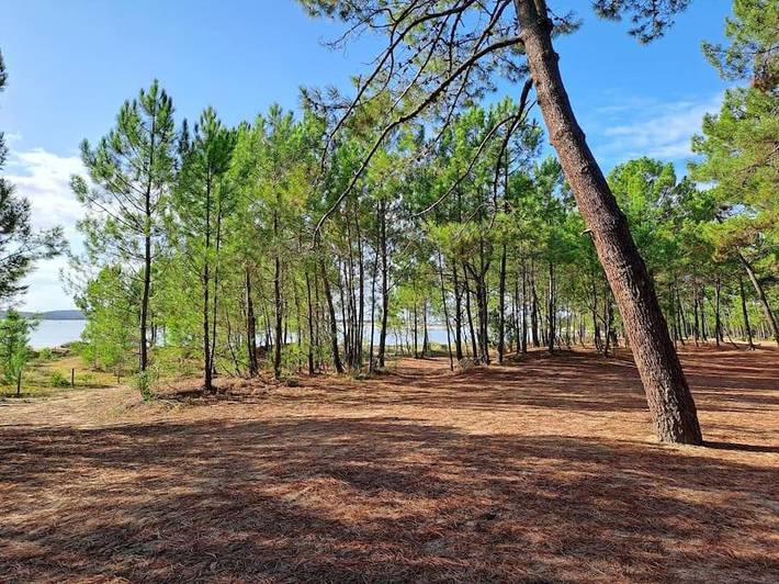 Gîte pour 6 personnes, avec jardin, animaux acceptés dans Petite Plage Saint Trojan Les Bains - 2
