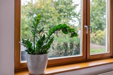 Ferienwohnung für 5 Personen in Annweiler, Südliche Weinstraße, Bild 4