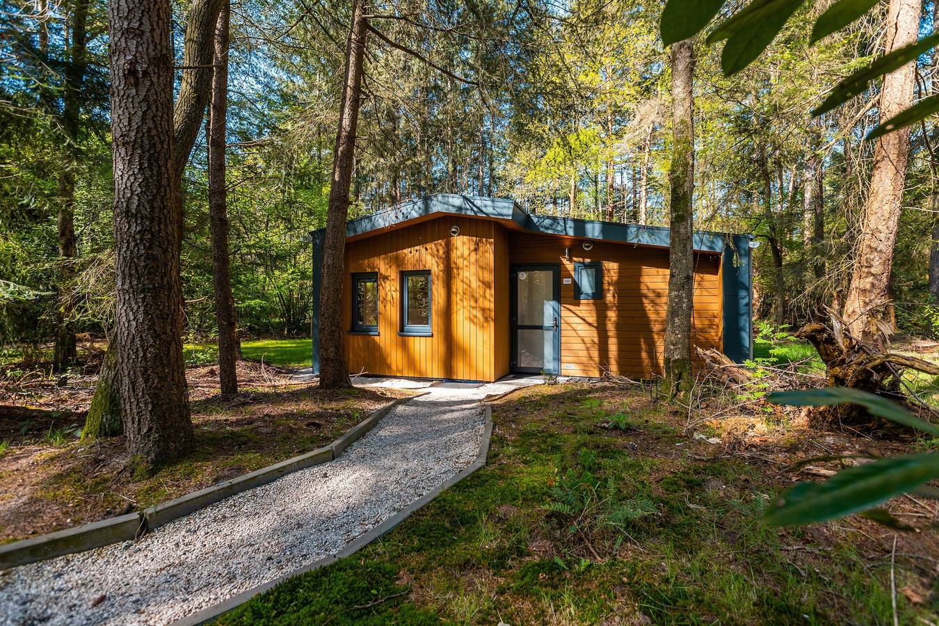 Vakantiepark De Wiltzangh — Zandborg Lodge mit Sauna | 6 Personen in Nationalpark Dwingelderveld