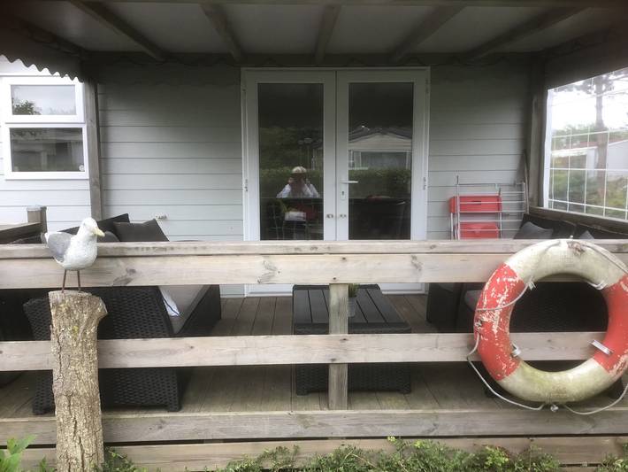 Ferienpark für 5 Personen, mit Garten und Pool in Callantsoog - 4