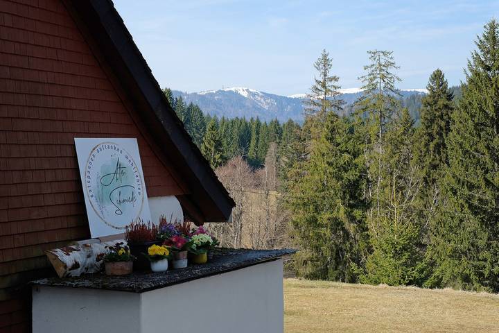 Ganze Wohnung, Ferienhaus Alte Schmiede - Ferienwohnung Titisee in Feldberg Ort, Feldberg