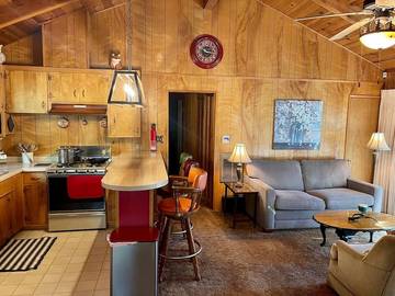 Log Cabin for 8 Guests in Running Springs, San Bernardino County, Picture 2