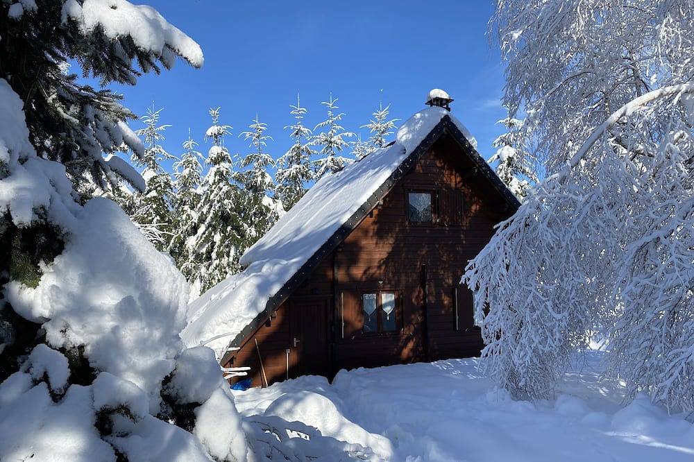 Chalet 70 m2 - 6 Pers - in der Nähe von Mont Dore / Super Besse - 1000 m2 eingezäuntes Grundstück in Tauves, Regionaler Naturpark Volcans d'Auvergne