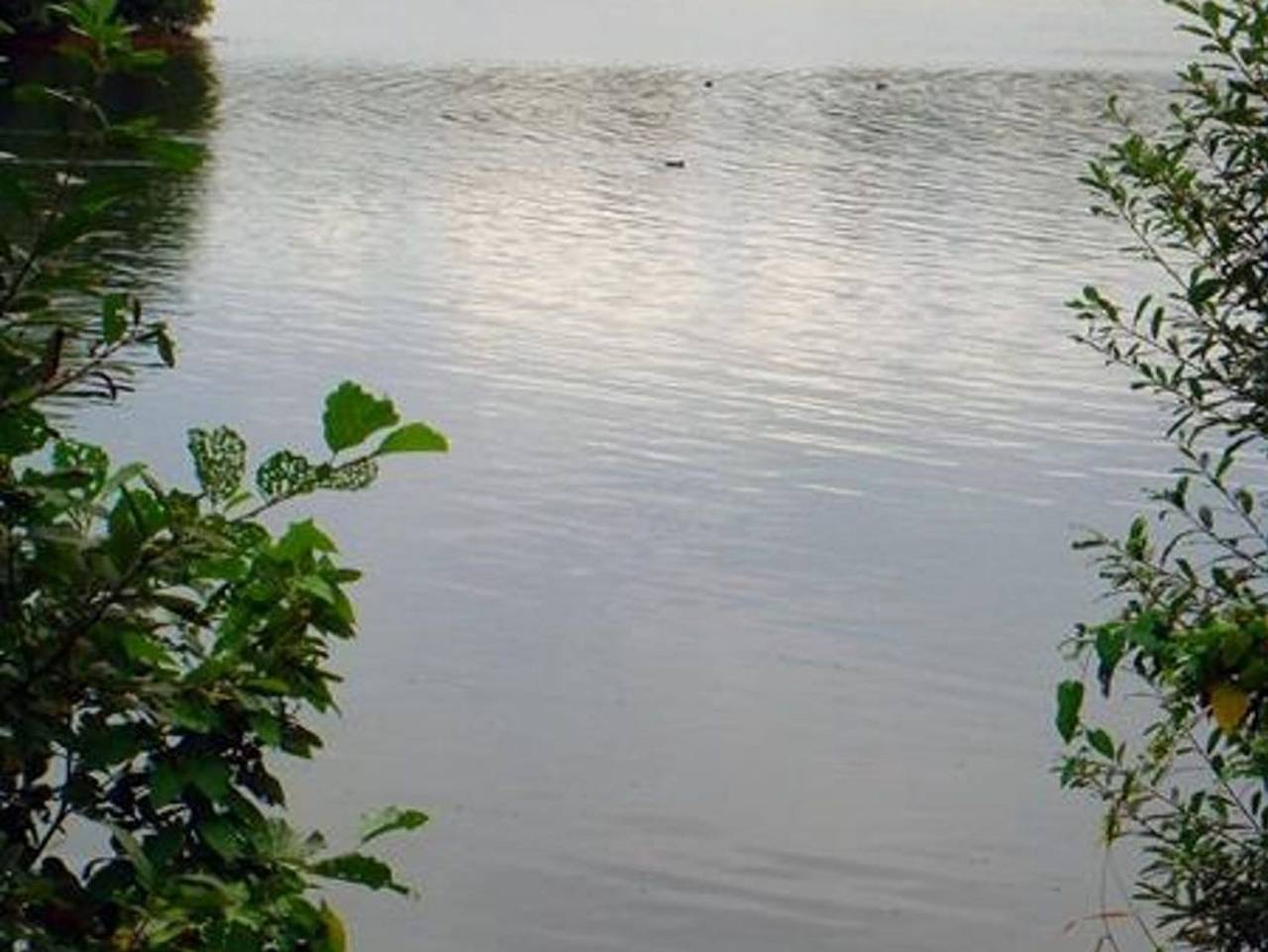 Haus am See in Aurich, Landkreis Aurich