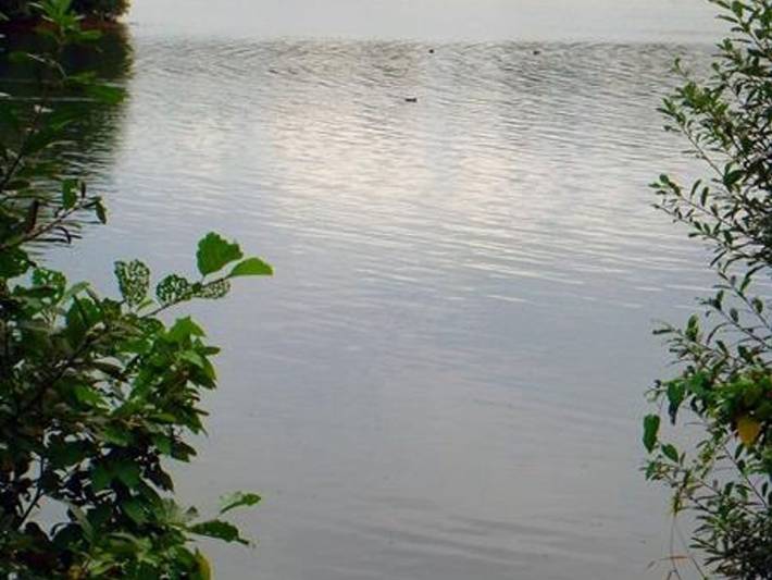 Ferienhaus für 4 Personen, mit Garten und Terrasse sowie Seeblick, mit Haustier in Niedersachsen - 4
