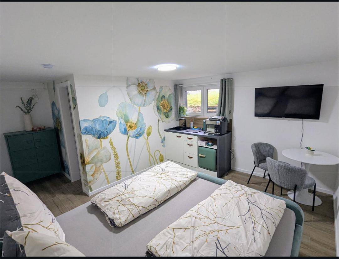 Ganze Wohnung, Rhein Apartments - Turquoise Studio in Küssaberg, Landkreis Waldshut
