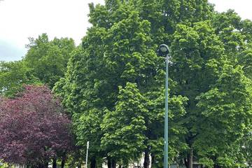 Gîte pour 3 personnes à Chennevières-sur-Marne