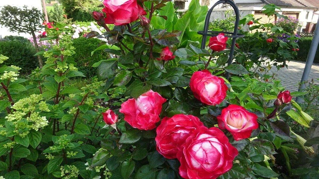 Ferienhaus für 3 Personen (50 m²) in Andechs in Andechs, Lago Ammer