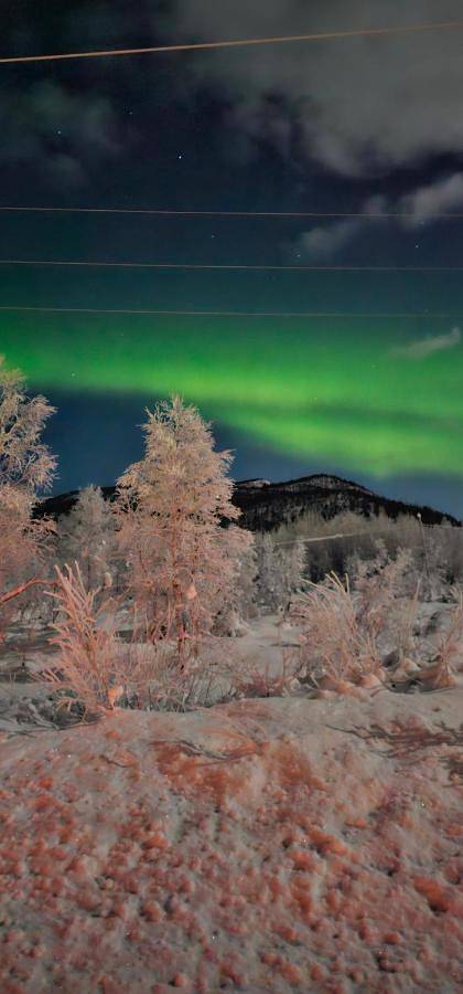 Four-Bedroom House in Senja, Lenvik