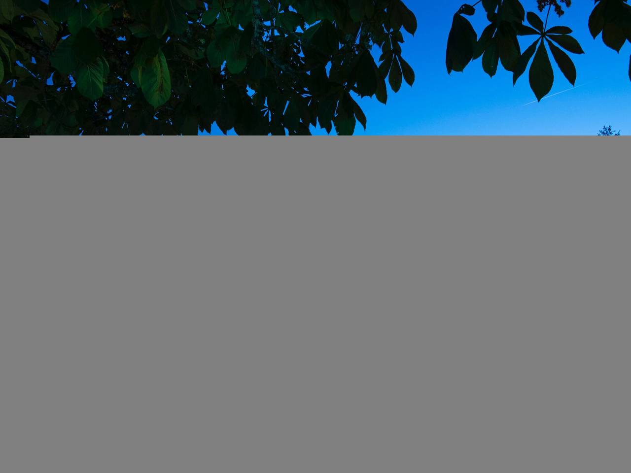 Appartement entier, Appartement dans le Tarn avec piscine in Rabastens, Région d'Albi