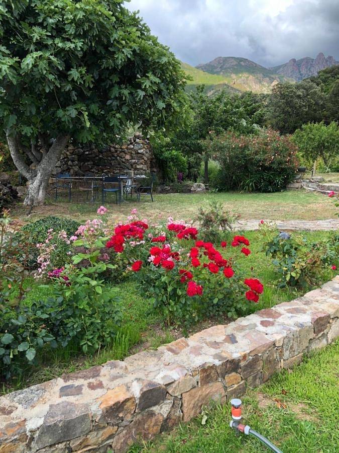 Villa Capraghjese in Galéria, Parc naturel régional de Corse