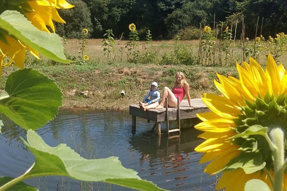 Ganze Wohnung, New built studio, in nature close to the beach in Odeceixe, Costa Alentejana