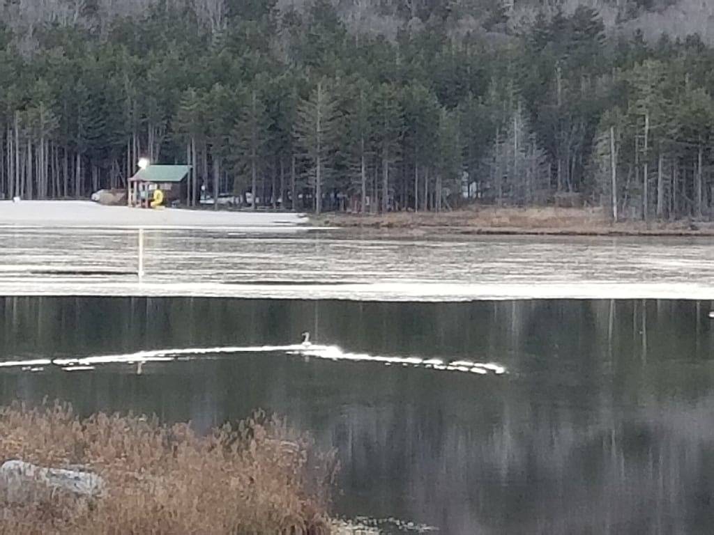 Ganze Wohnung, Gegenüber von Central Village / Pisten! 3Br Midweek Specials !!! W-Lan in Snowshoe, Greenbrier River