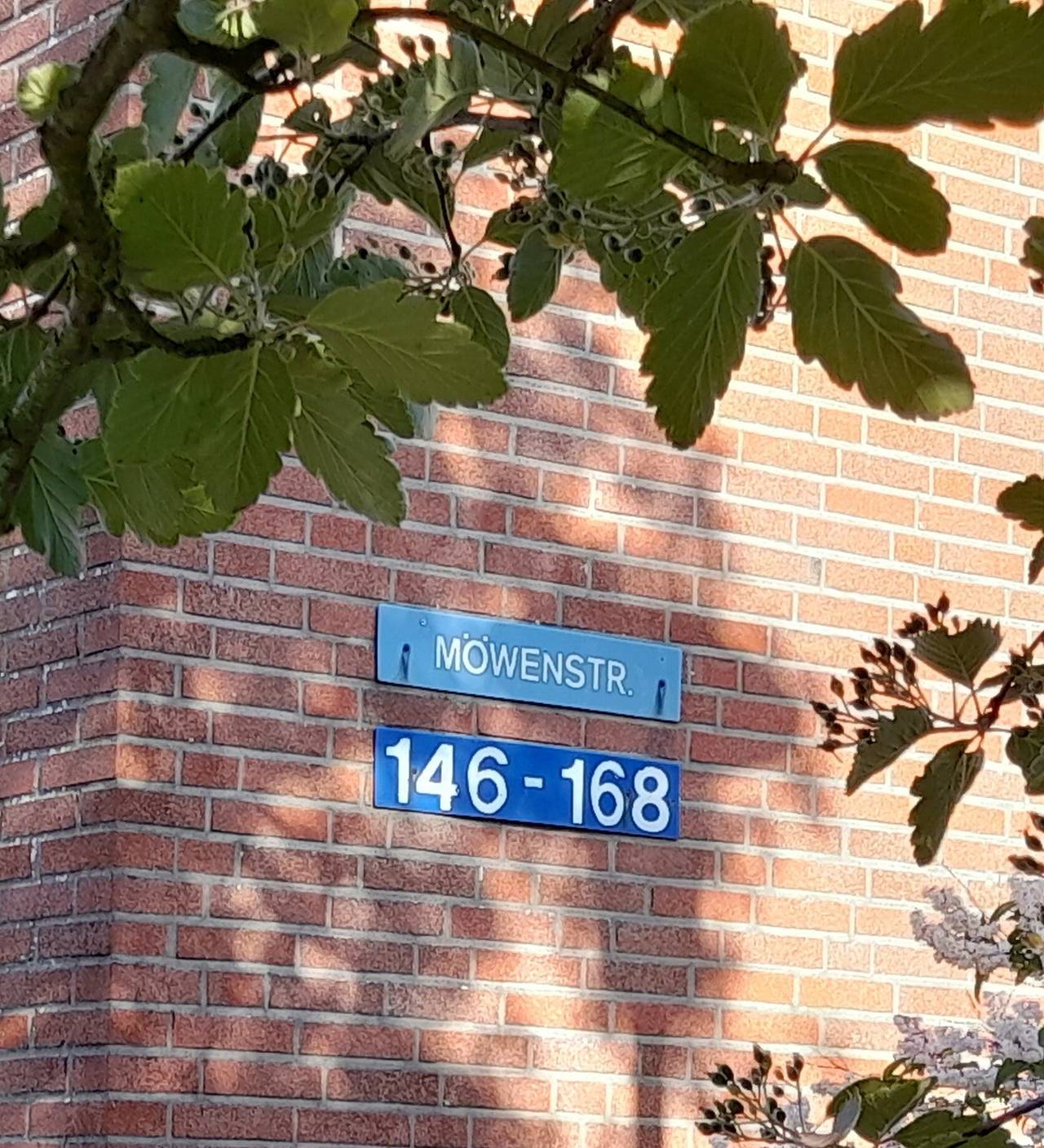Ganze Wohnung, Apartment 'Möwe 146' mit privater Terrasse in Horumersiel, Wangerland