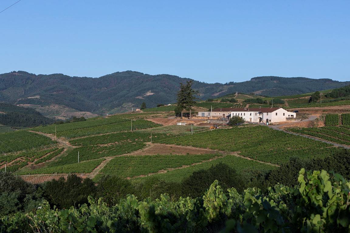 Gîte La Vigne en Rose - Domaine des Grandes Terres in Le Perréon, Beaujolais