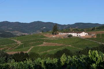 Gîte pour 49 personnes, avec jardin et terrasse, animaux acceptés dans Rhône