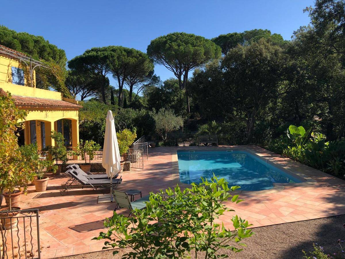 Sous les pins parasols in Vidauban, Côte méditerranéenne (France)