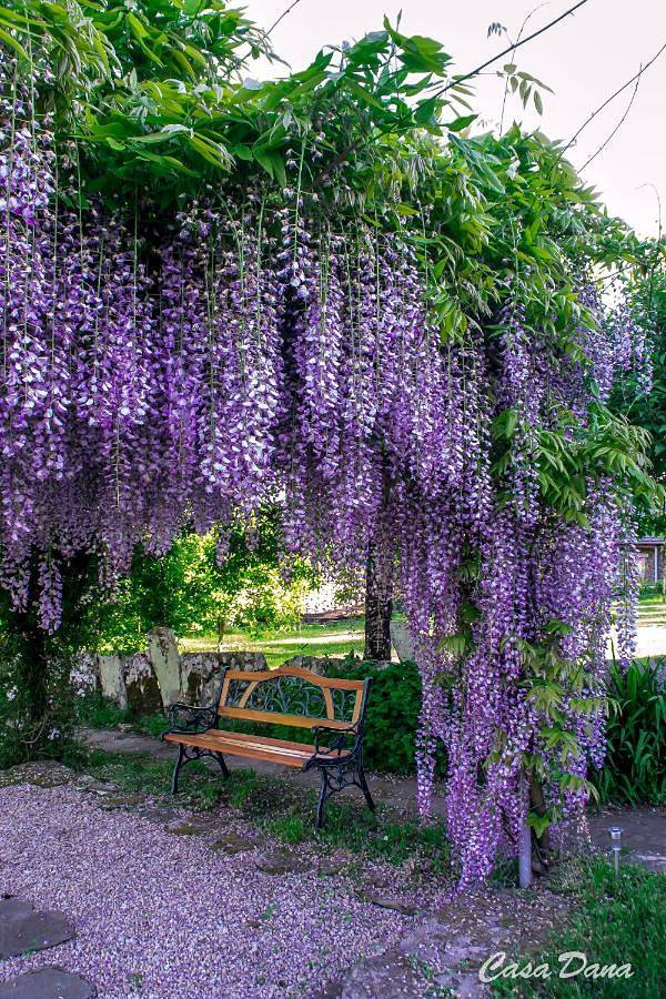 Casa rural para 3 personas, con jardín y vistas, Se admiten mascotas en Provincia de Lugo - 3