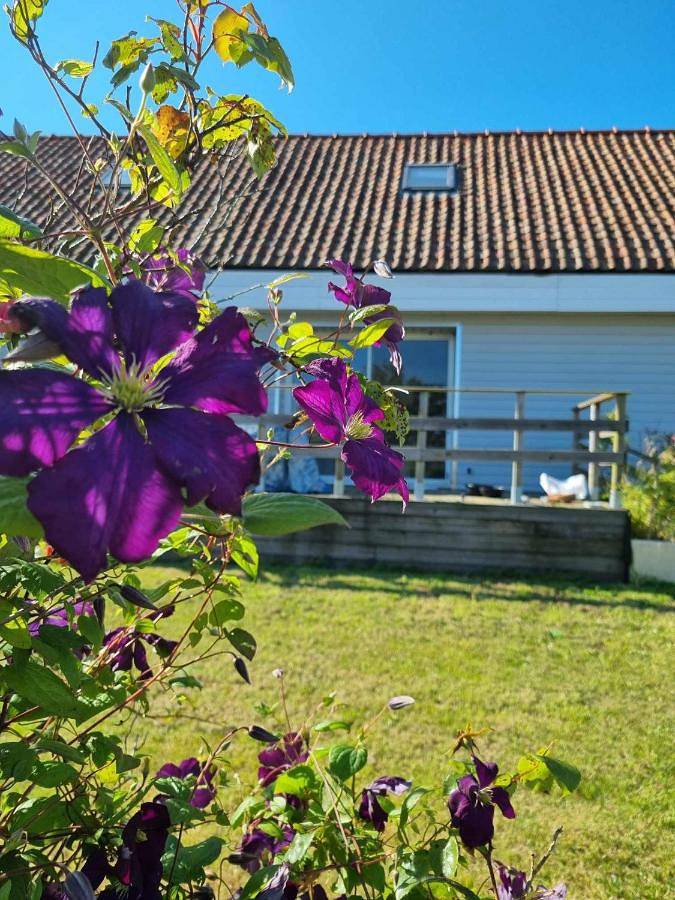 Location de vacances pour 10 personnes, avec terrasse ainsi que jardin et vue, animaux acceptés à Questrecques