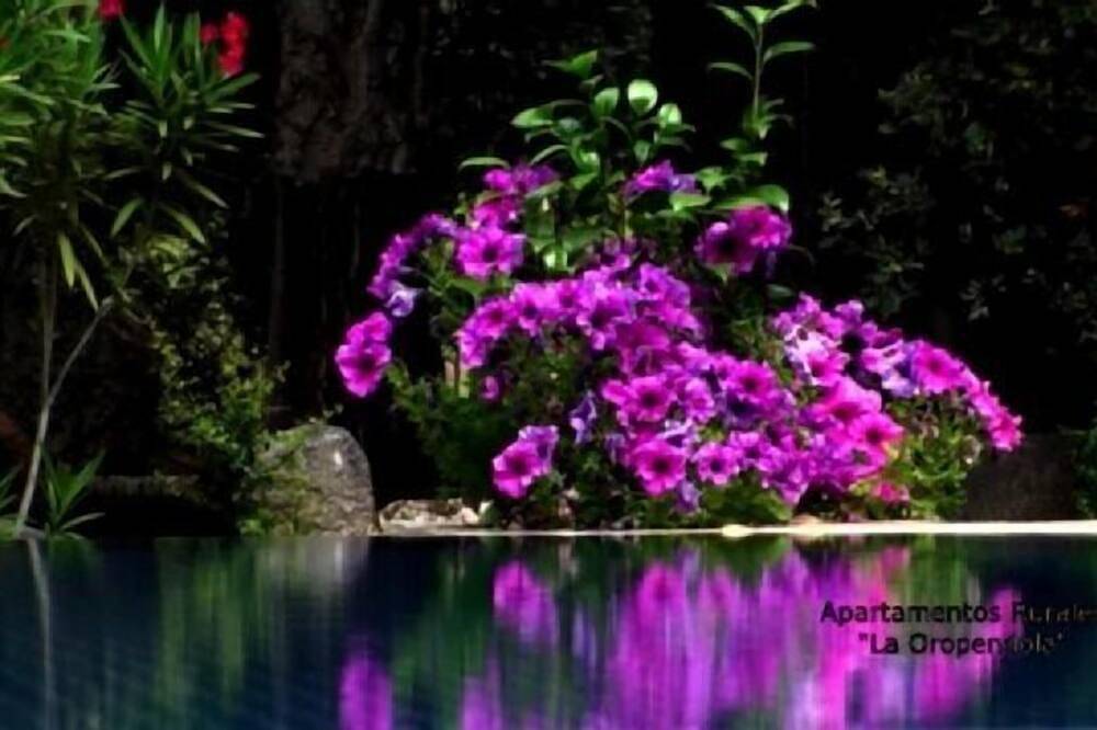 Finca für 2 Personen in Jaraíz de la Vera, Cáceres und Umgebung