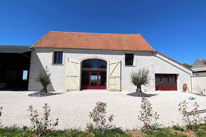 Location de vacances pour 15 personnes, avec jardin à Josnes