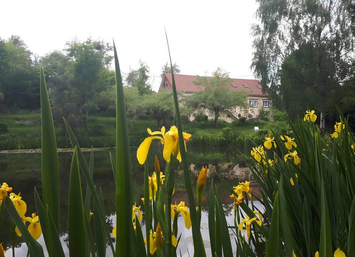 Blokhut voor 15 personen, with Whirlpool and Tuin as well as Uitzicht op het meer in Zuid-Frankrijk