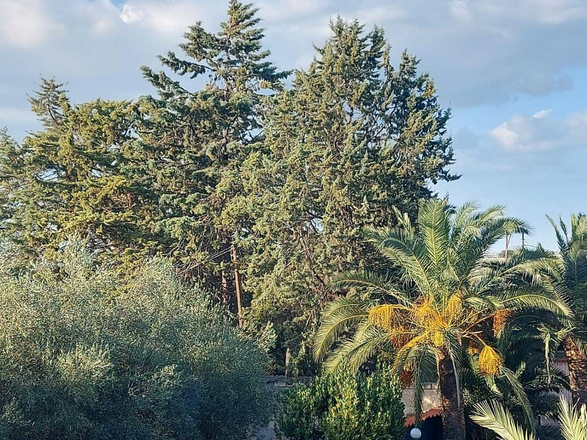 La Villa Del Conte in Barletta, Barletta-Andria-Trani
