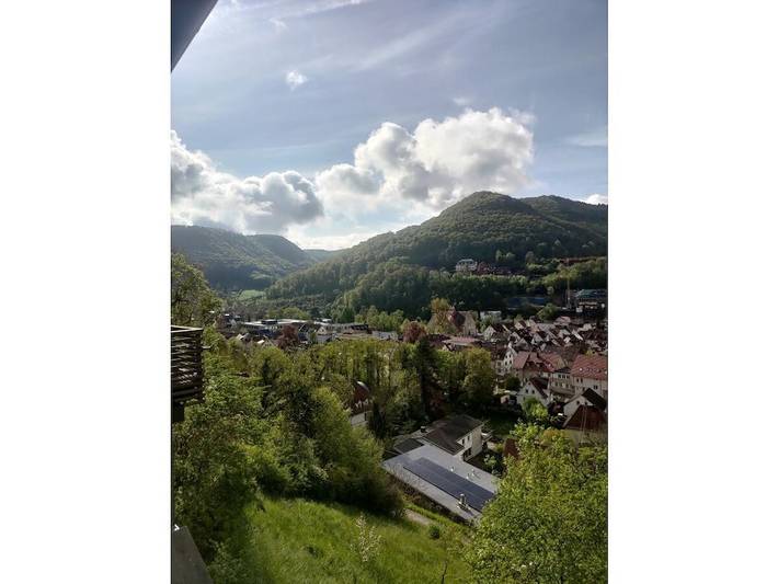 Ferienhaus für 6 Personen, mit Ausblick und Terrasse, mit Haustier in Bad Urach - 3