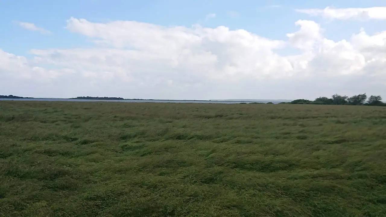 Vacation house for 7 people with terrace in Swedish Baltic Sea