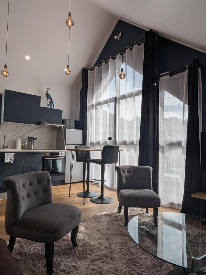 Appartement entier, Le Loft - Résidence Chez Gally à Angers in Les Ponts-de-Cé, Région d'Angers