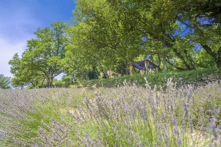 Domaine L'essentiel de Lavande in La Bégude-de-Mazenc, Région de nyons
