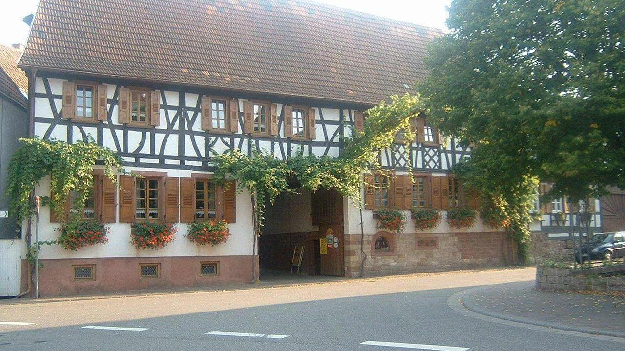 Ferienwohnung für 4 Personen in Steinweiler, Pfälzer Weinland
