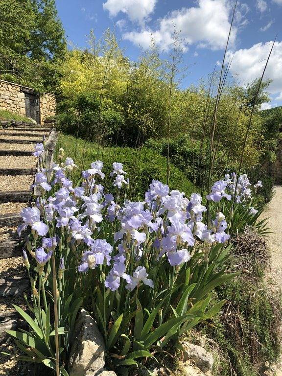 La Tour de Cause, Castelnaud la Chapelle - Dordogne - Chambre 3 in Castelnaud-la-Chapelle, Périgord Noir