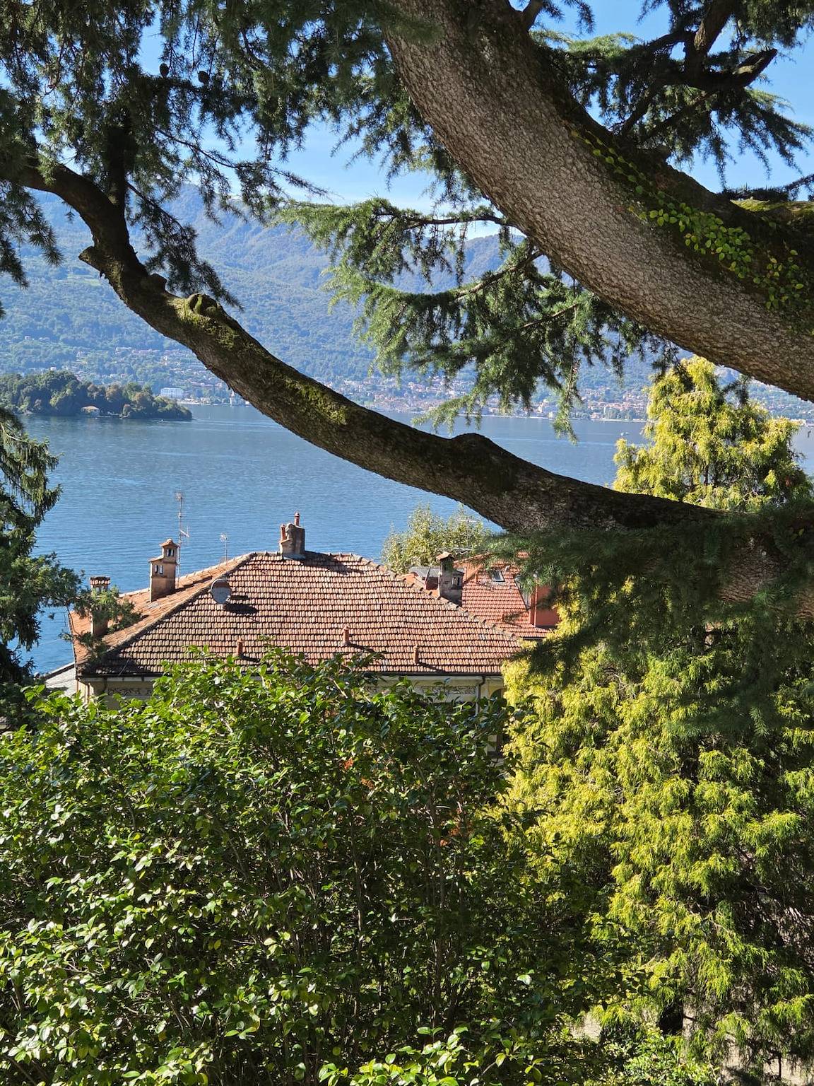 Villa Cedro in Verbania, Comune di Verbania