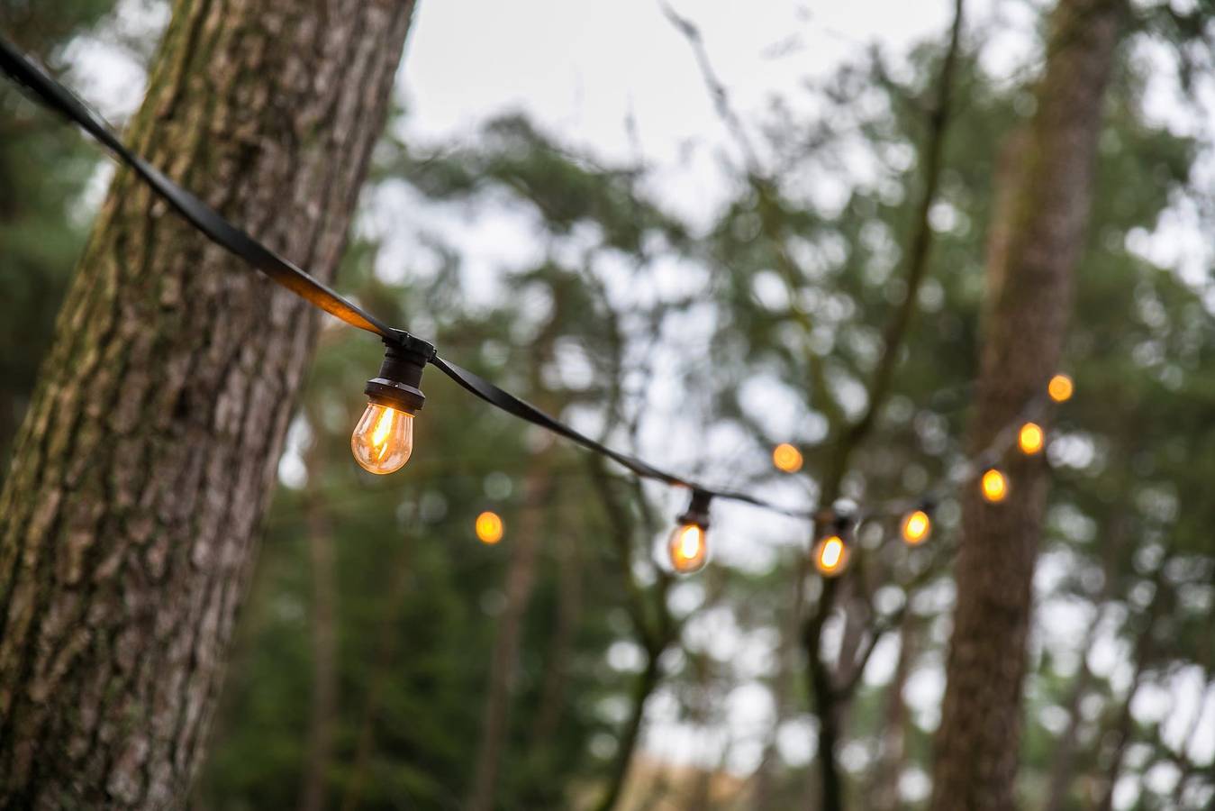 Cozy Chalet w terrace in the Middle of the Forest in Veluwe in Veluwe