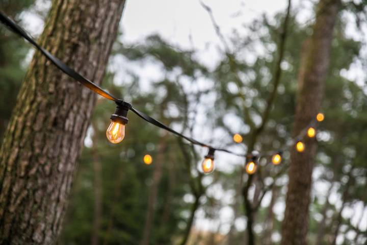 Ferienhaus für 4 Personen, mit Garten und Balkon, kinderfreundlich am Veluwemeer - 3