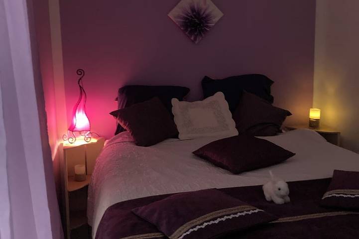 Location de vacances pour 2 personnes, avec terrasse et jardin à Larringes - 2