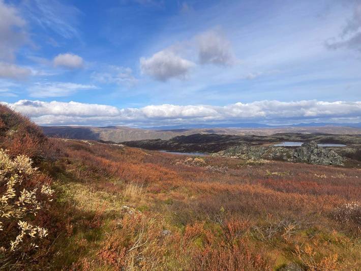 Gîte pour 4 personnes, adapté aux familles à Geilo - 3